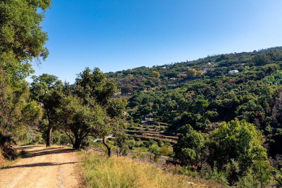 Algarve: Jeep Safari with Distillery Visit & Lunch - Medronho distillery tasting: strong spirit, real process