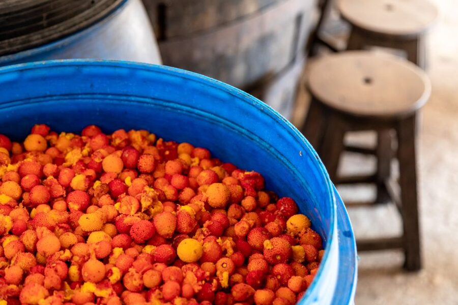 Algarve: Jeep Safari with Distillery Visit & Lunch - Weather changes happen, and your guide matters