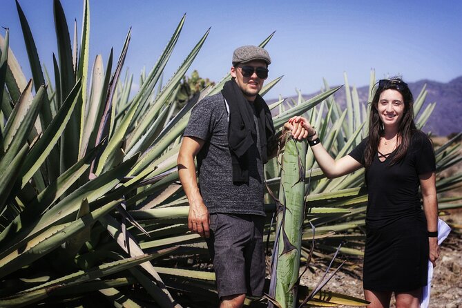 Artisanal Mezcal distillery in an authentic Zapotec village - Why This Zapotec Mezcal Day Beats a Simple Tasting Room