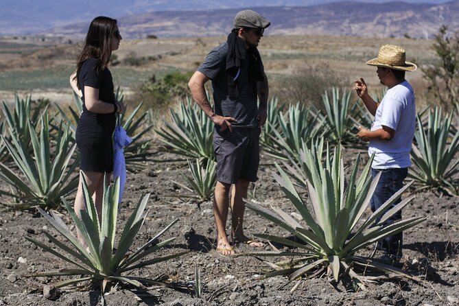 Artisanal Mezcal distillery in an authentic Zapotec village - Breakfast of Bread and Chocolate: Fuel for the Craft Lessons