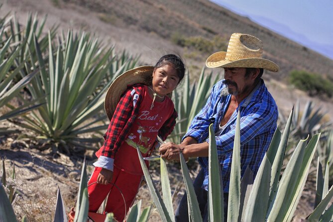Artisanal Mezcal distillery in an authentic Zapotec village - Lunch with Handmade Tortillas and Zapotec Home Cooking