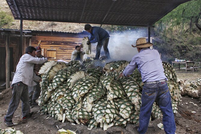 Artisanal Mezcal distillery in an authentic Zapotec village - The Take-Home Bottle: What You Get for Your Time