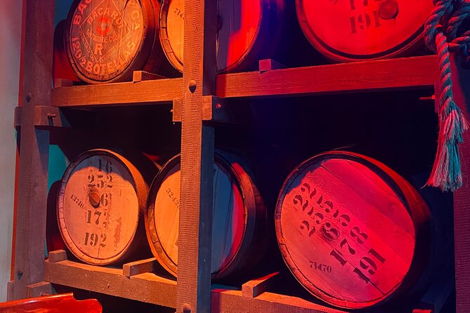 Bacardi Rum Distillery and Old San Juan Tour - Who Should Book This Tour?