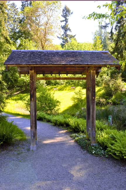Bainbridge Island Discovery and Whiskey Tour - The Seattle-view lookout and the troll stop