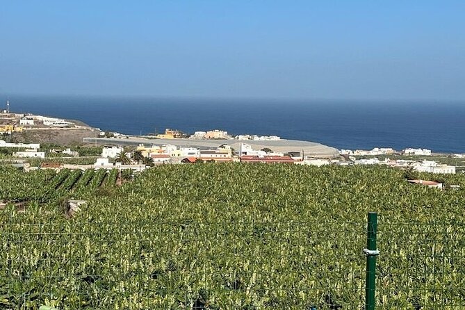 Banana Museum, Rum Distillery & Winery guided tour with tasting - Getting to the pickup: read this before you book