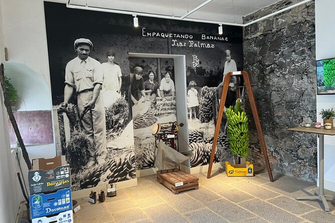 Banana Museum, Rum Distillery & Winery with Tasting: Premium tour - Stop 1: La Rekompensa Mundo del Platano banana museum tour