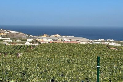 Banana Museum, Rum Distillery & Winery with Tasting: Premium tour - Logistics: pickup rules and where to wait