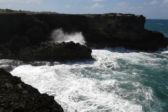 Barbados Sightseeing Plantation distillery tour, Lunch & Drink - Why this tour works when your time in Barbados is short
