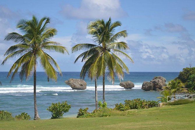 Barbados Sightseeing Plantation distillery tour, Lunch & Drink - Stop 2: Animal Flower Cave (cliffs for photos, not cave entry)