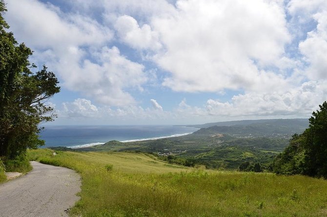 Barbados Sightseeing Plantation distillery tour, Lunch & Drink - The drive-by highlights you’ll likely notice (even if time is limited)