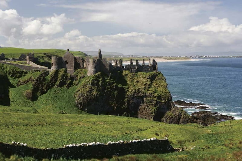 Belfast Giant's Causeway and Titanic Distillery Whiskey Tour - Giants, Beech Trees, and Titanic Whiskey: the best parts
