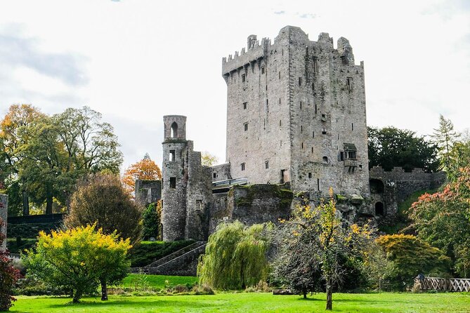 Blarney Castle Cork City and Jameson Distillery Small groups - Key Highlights You’ll Actually Feel in Your Day