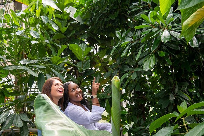 Bombay Sapphire Gin Distillery Tour and Cocktail - The Botanical Room: how the tour trains your taste buds