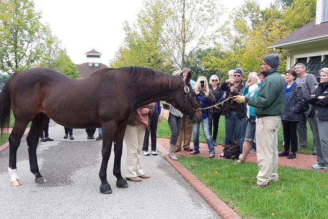 Bourbon Distillery & Horse Farm Tours - Should You Book This Bourbon Distillery & Horse Farm Tour?