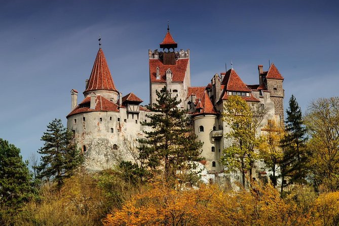Bran (Dracula) Castle, Bear Sanctuary, Rasnov Fortress & Palinca Distillery - Why This Transylvania Mix Works