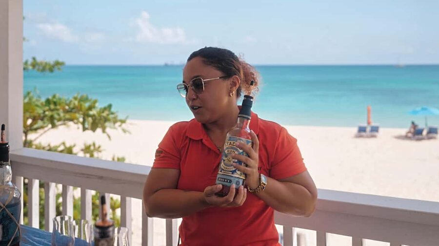 Bridgetown: Stade’s Rum Distillery Tour - Pot Still Alley: Why Vintage Stills Matter (and How to Read Them)