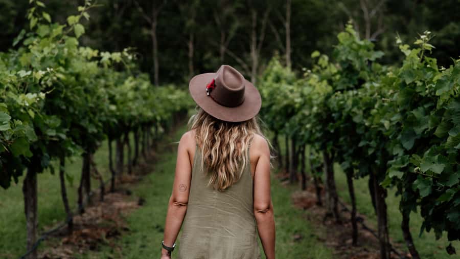 Brisbane: Boutique Winery Tour with Gourmet Lunch - Price and what you actually get for $211
