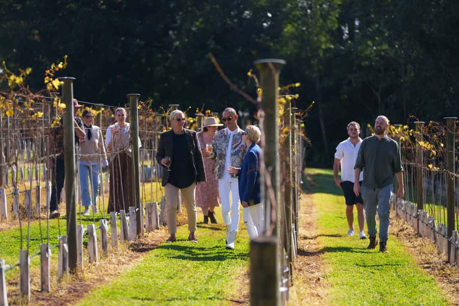Brisbane: Tamborine Wine & Distillery Tour - Scenic lookout + Gallery Walk free time: your decompression zone