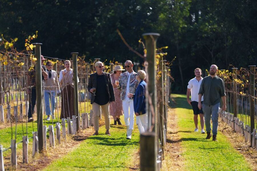 Brisbane: Tamborine Wine & Distillery Tour - What the small group format does for your day