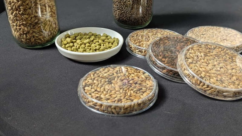 Brussels: micro brewery & distillery tour + beer tasting - Tipsy Tribe in Brussels: why a brewery-distillery tour works
