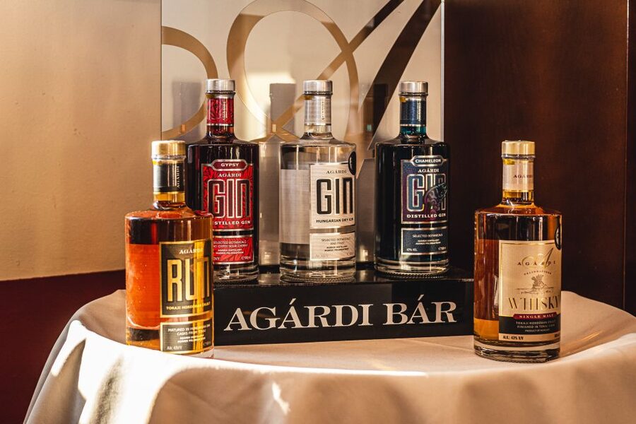 Budapest: Hungarian Whisky, Gin, and Pálinka Tasting - Key things to know before you go