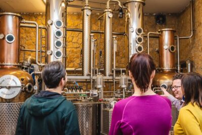 Budapest: Hungarian Whisky, Gin, and Pálinka Tasting - Where you start in Budapest: Deák Ferenc tér meets the real-world timing