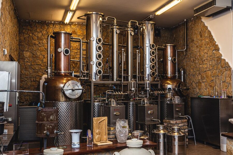 Budapest: Hungarian Whisky, Gin, and Pálinka Tasting - The drive to Central Transdanubia: turning travel time into part of the experience