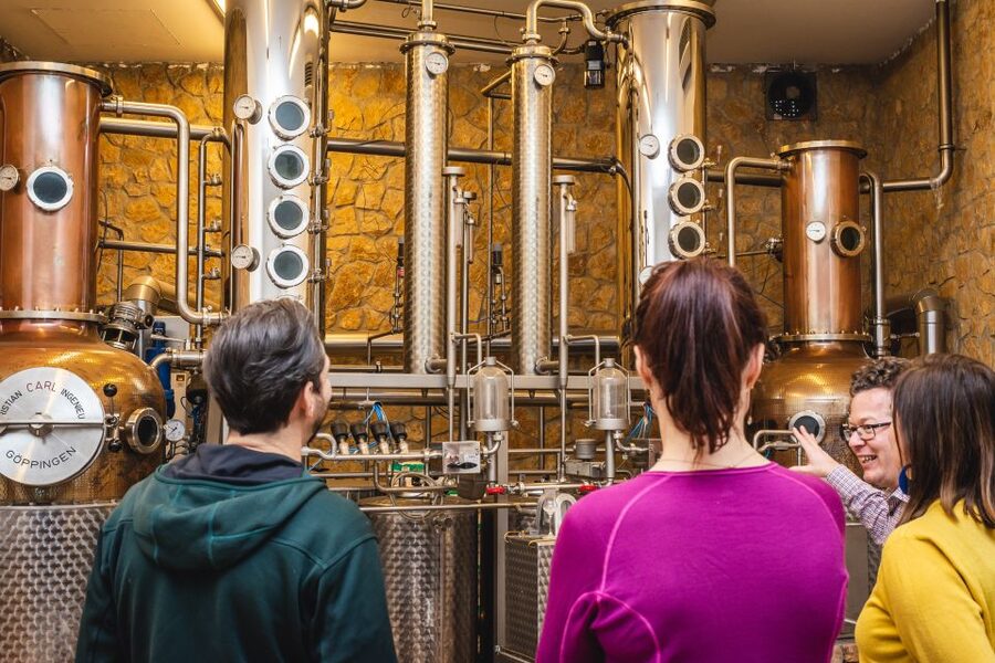 Budapest: Hungarian Whisky, Gin, and Pálinka Tasting - Where you start in Budapest: Deák Ferenc tér meets the real-world timing
