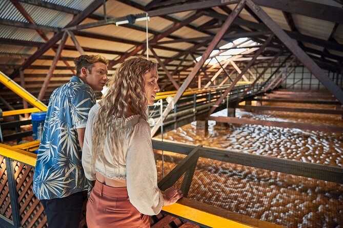 Bundaberg Rum Behind The Scenes Distillery Tour And Museum Experience - Value check: what $21.52 buys (and what to expect from it)