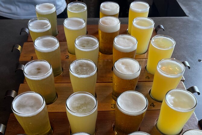 Byron Bay Brewery & Distillery Tour: Tastings, Lunch & transfers - Stop 6 (often quick): Seven Mile Brewing Co. and one last paddle finish