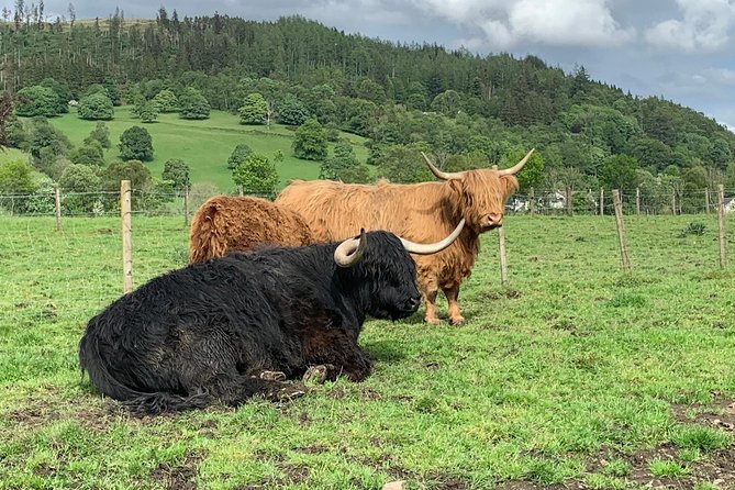 Central Highlands lochs Stirling Whisky private driving - House of the Binns: a short stop that’s perfect for photos