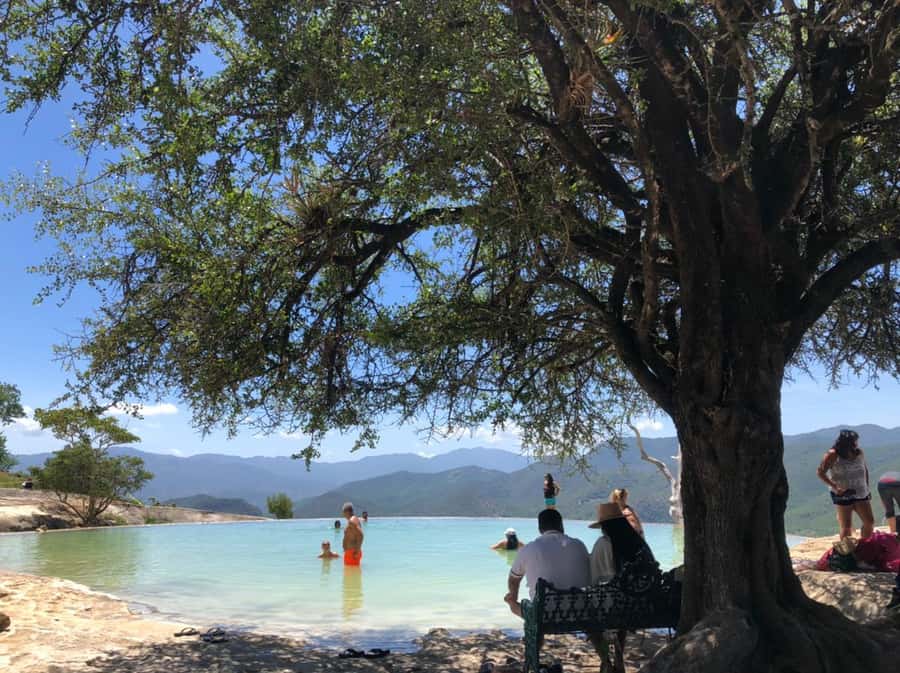 Check out Hierve el Agua, Mitla, the Tule Tree, Rugs, and a Mezcal Distillery Tour - A full Oaxaca hit list in 11 hours