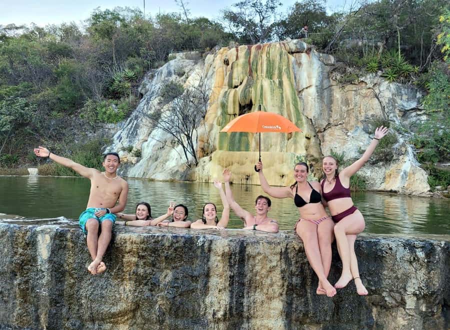 Check out Hierve el Agua, Mitla, the Tule Tree, Rugs, and a Mezcal Distillery Tour - Árbol del Tule: a 30-minute Zapotec icon with one paid upgrade