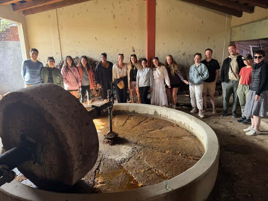 Check out Hierve el Agua, Mitla, the Tule Tree, Rugs, and a Mezcal Distillery Tour - Lunch break at a buffet: how to handle the one weaker spot
