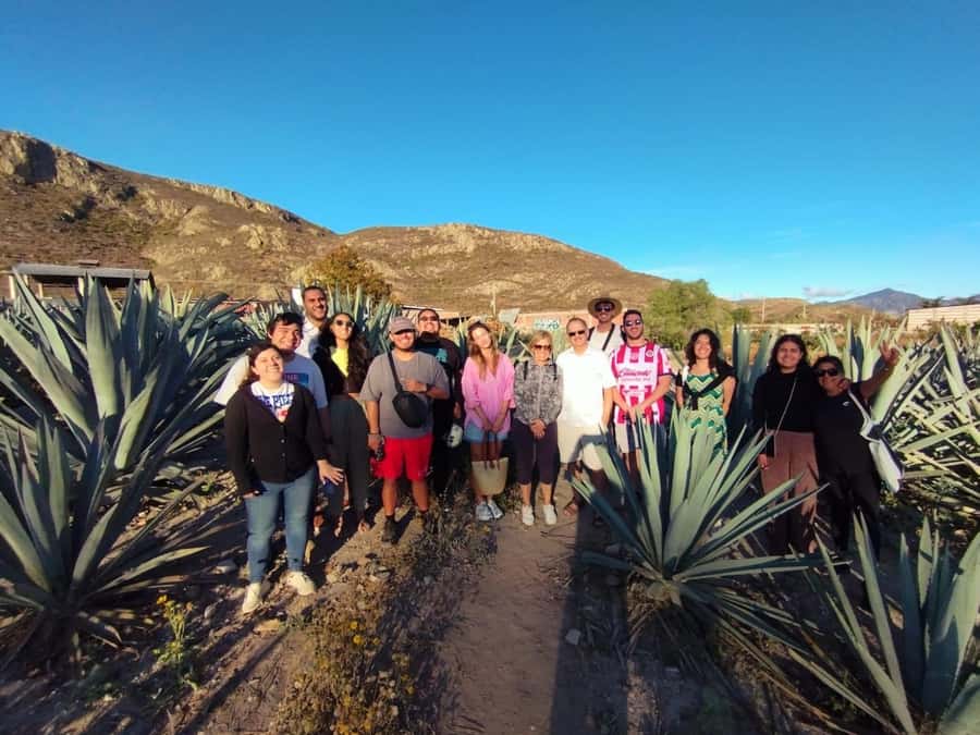 Check out Hierve el Agua, Mitla, the Tule Tree, Rugs, and a Mezcal Distillery Tour - Price and logistics: what the $49 really covers
