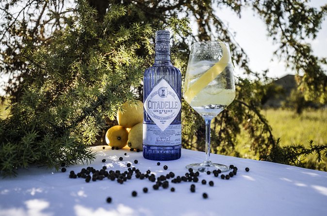 Citadelle Gin Distillery Tour in English - Juniper fields in front of the château: the first flavor clue