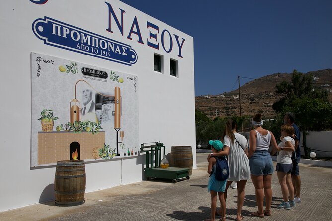 Citron Tasting and Distillery 1-Hour Guided Tour in Naxos - The Snack Pairings: Lemonade, Marzipan, Chocolate, and Citrus Desserts