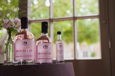 Classic Vineyard Distillery Tour and Tasting Experience in Jersey - Stop 1: La Mare Vine Estate Views and the Branchage Cider Start