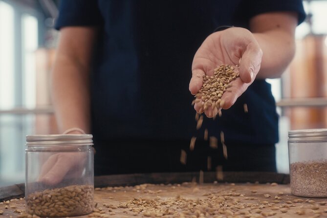 Clonakilty Distillery Tour & Classic Whiskey Tasting - Entering the distillery experience: what you’ll see first