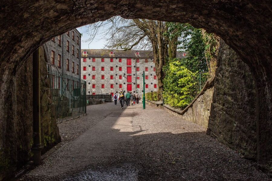 Cork: Jameson Irish Whiskey & Midleton Distillery Experience - Key things that make this experience worth your time