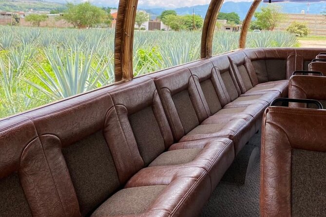 Cultural tour, city fields and distillery - Agave Fields Visit: What to Notice Beyond the Scenery