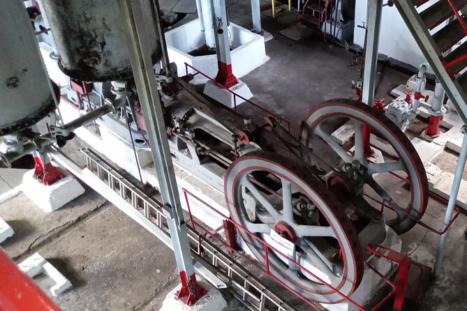 Discover Clarke’s Court Rum Distillery – Transportation Only - The Drive to Clarke’s Court: Short, Scenic, and Efficient