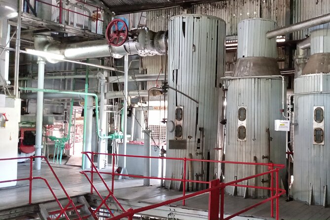 Discover Clarke’s Court Rum Distillery – Transportation Only - What This Experience Is Best For (and Who Might Pass)