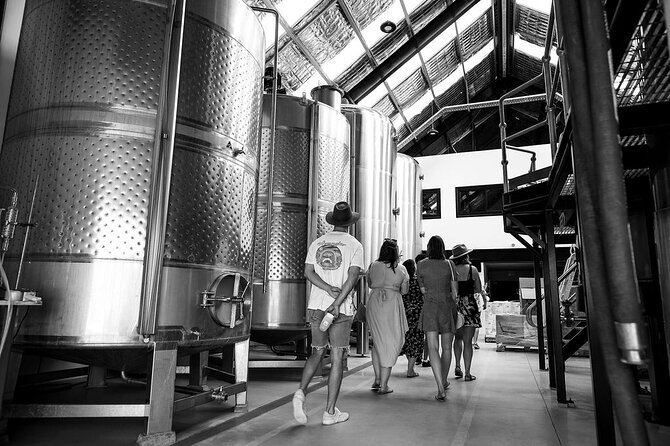 Distillery Daily Tour - Who This Tour Suits Best (And Who Should Skip It)
