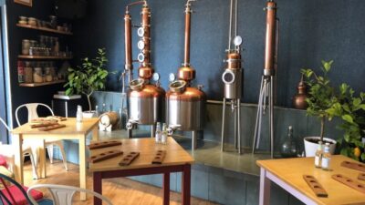 Distillery Masterclass - 8 Scottish gins paired with cheeses - The two-hour flow: 8 Scottish gins, cheese pairings, and guided explanation