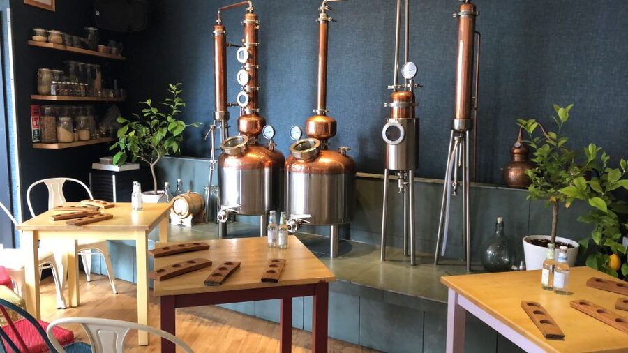 Distillery Masterclass - 8 Scottish gins paired with cheeses - The two-hour flow: 8 Scottish gins, cheese pairings, and guided explanation