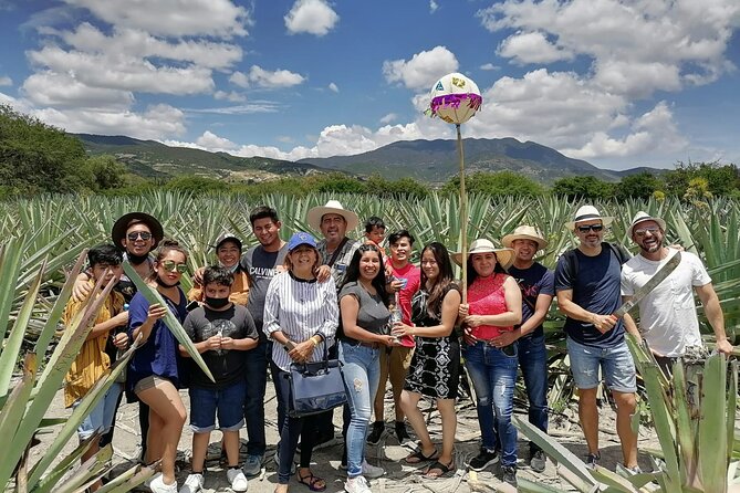 Distillery Tour and Agave Fields by Mal de Amor Mezcal - The 9:00 am start that shapes your whole day