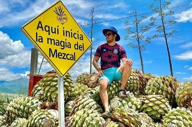 Distillery Tour and Agave Fields by Mal de Amor Mezcal - Stop 3: barrel-shaped cart through maguey roads and a pulquería break