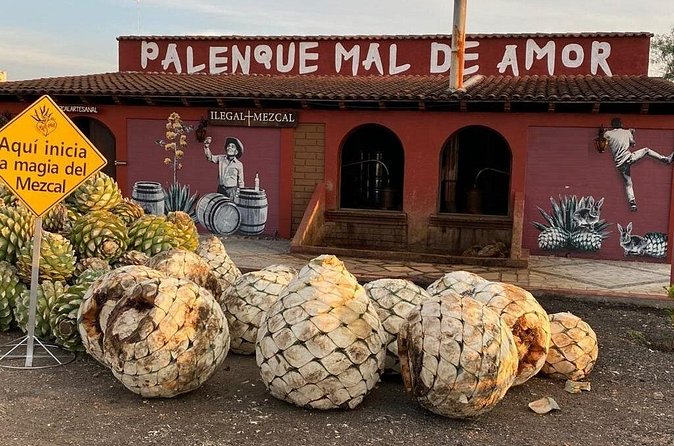 Distillery Tour and Agave Fields by Mal de Amor Mezcal - Price and value: what $71.73 buys you in a full day