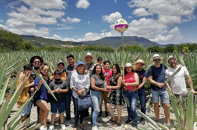 Distillery Tour and Agave Fields by Mal de Amor Mezcal - Should you book the Mal de Amor Mezcal tour?